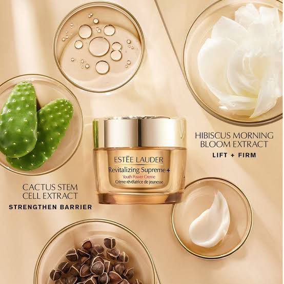 Anti Aging Creme